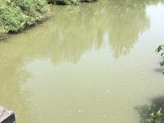 -溱湖国家湿地公园