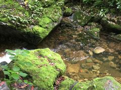 -陕西省红河谷森林公园