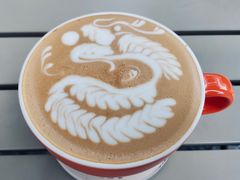 -SAFARI COFFEE