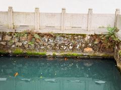 -墨池公园