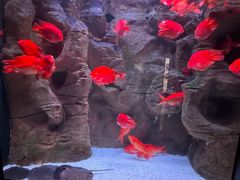 -成都浩海立方海洋公园