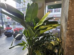-星巴克(武康路店)