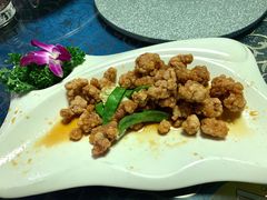 -海市蜃楼花园主题餐厅(石顶店)