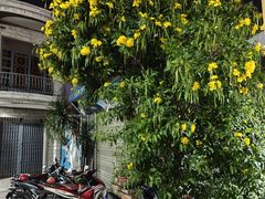 -芽庄大教堂