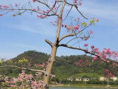 -风云岭森林公园