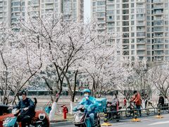 -西北湖绿化广场