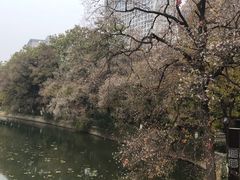 -包公祠