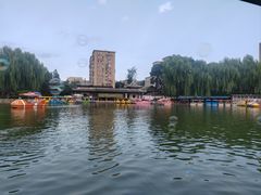 -团结湖公园