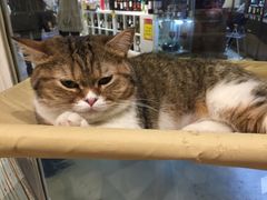 -小时光咖啡馆(开森度假森林店)