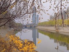 -桃花堤公园