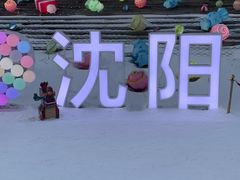 -沈阳奥体冰雪嘉年华
