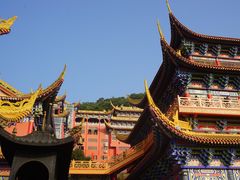 -东莞市大岭山森林公园