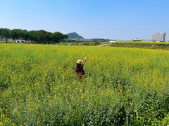 -光明小镇欢乐田园