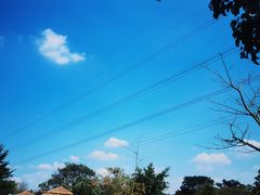 -长洲岛都市农业公园