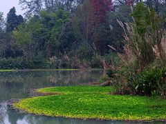 -桤木河湿地公园