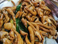 -禄源公·老莞诚饭店