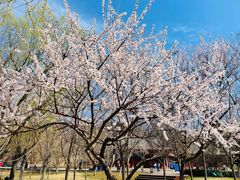 -香山公园-东宫门售票处