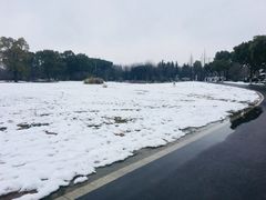 -昆山城市生态森林公园