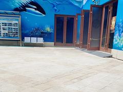 -多彩贵州城极地海洋世界