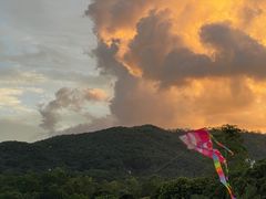 -大屏嶂森林公园
