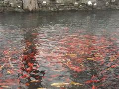 -水磨沟公园