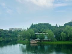 -尚贤河湿地