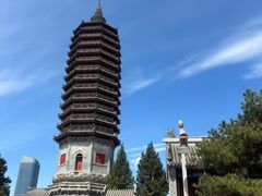 -西海子公园