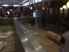-纽斯桑拿会所(天山店)