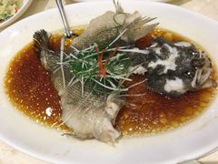 笋壳鱼-顺风海鲜港(金玉兰店)