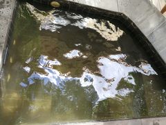 -金石唐风国际温泉会馆