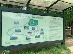 -凤凰山国家森林公园