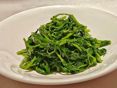 清炒龙里豌豆尖-范家小馆·四代传承烤鸭店(紫竹桥店)