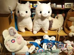 -九木杂物社(江宁金鹰广场店)