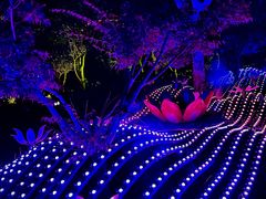 -茅山东方盐湖城景区