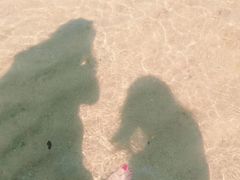-杨梅坑