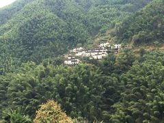 -新安江山水画廊风景区