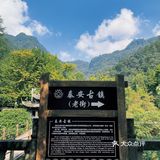 成都周边游｜清凉避暑 &泰安古镇