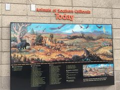 -圣地亚哥动物园