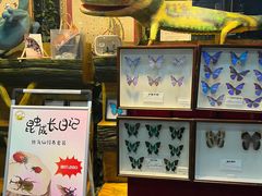 -上海大自然野生昆虫馆(东方明珠·爬宠昆虫探索中心)