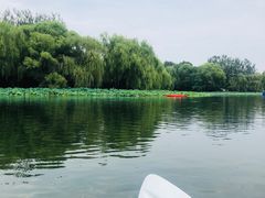 -WhaleSports户外水上运动俱乐部(朝阳公园店)