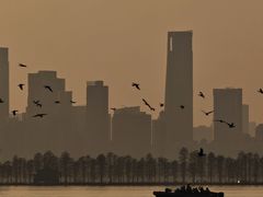 -东湖落雁景区