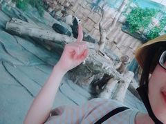 -泉州海丝野生动物世界