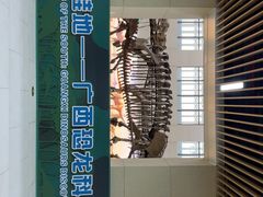 -广西壮族自治区博物馆