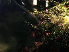 -天赐温泉