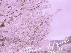 -同济大学(嘉定校区)