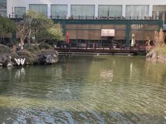 -苏苑饭店-中餐厅(长桥地区店)