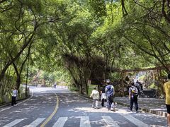 -大雁山风景区