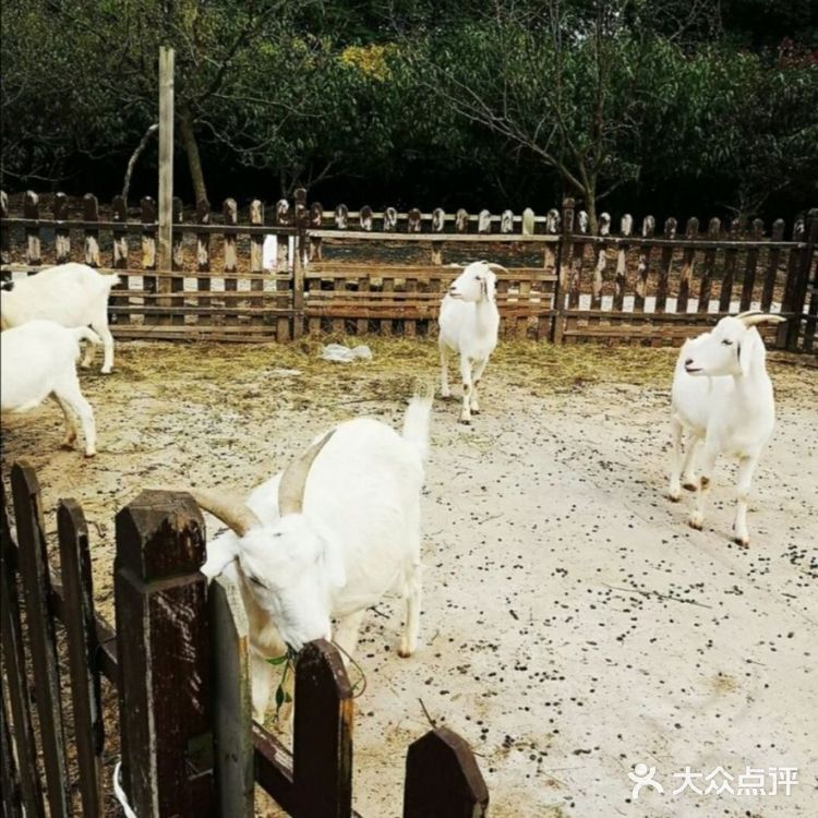 春天到了🌸带着孩子一起去亲近大自然吧[吐][吐]
