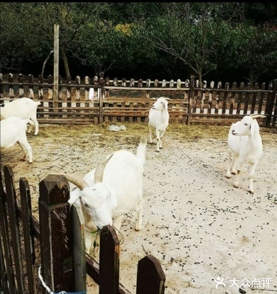 春天到了🌸带着孩子一起去亲近大自然吧[吐][吐]