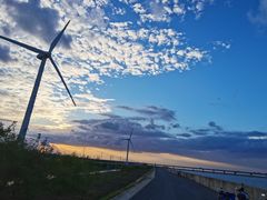 -上海长兴岛郊野公园